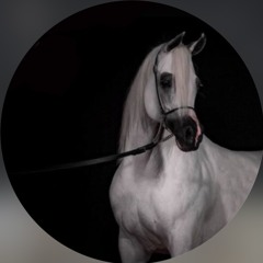 A5🐎