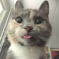 gapplefii