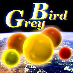 GreyBird