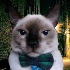 kat