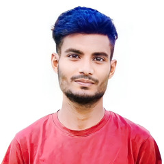 Robiul Islam Robin