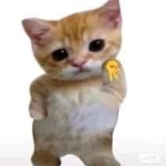z4nitt