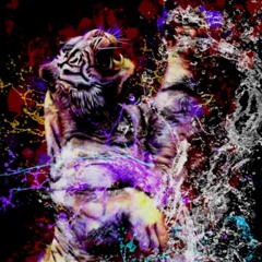 DJ. 🎼🎶🎵🎧🎹Thomsen🎧🎶