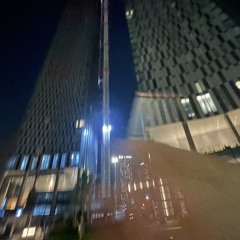 ViiViiWes (Burner acc)