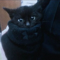 🐈‍⬛
