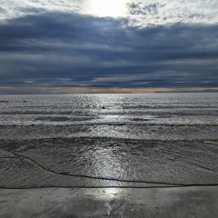 Scott Cheyne