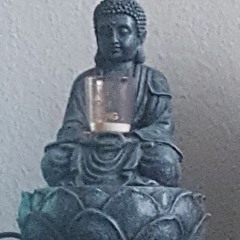 giftigesubstanz