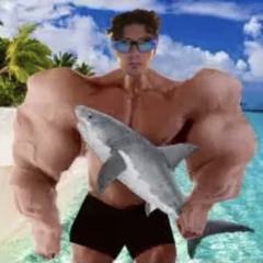 Stavro$