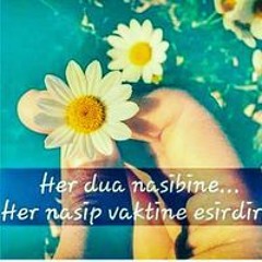 M Yusuf Yusf