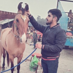 Hussain Rai