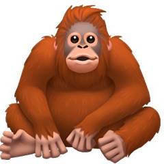 Monky