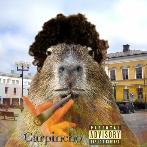carpincho’s avatar
