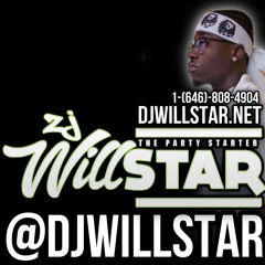 ZJ WILLSTAR