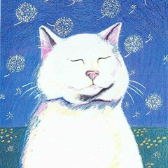 •UwU KittyCat•