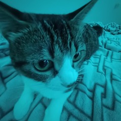 stich