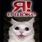 Иван Королевский