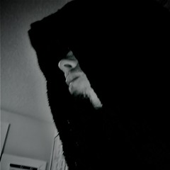 The_Colorado_Spaceman