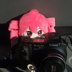 Teto with camera