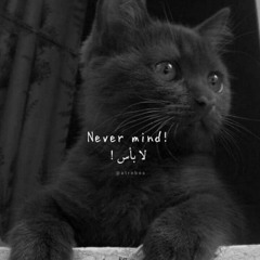 Norhan Tarek
