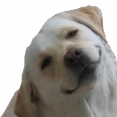 voteforpowder