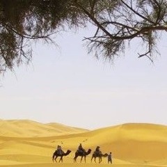رقية نارية لشيطان الحسد الساحر  لن يصمد عليها بإذن الله-أبومجاهد السوسي