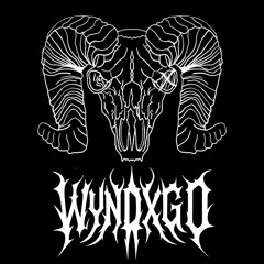 NIMDA - DIV KILLER (wyndxgo remix mashup ft. yeeto)