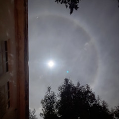 Donner