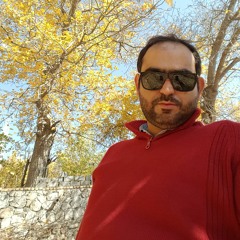 amir hossein