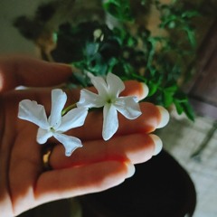 هاجر إبراهيم