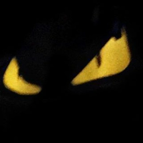 SoundCloud profile picture for @investigating