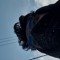 younes_3310