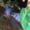 nbg