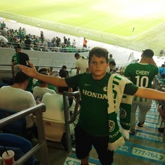 Beeri Lavi
