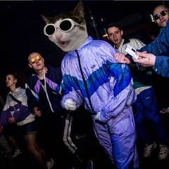 rillefren (DJ SENFGAS)