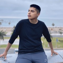 Williams Meza Huarsaya
