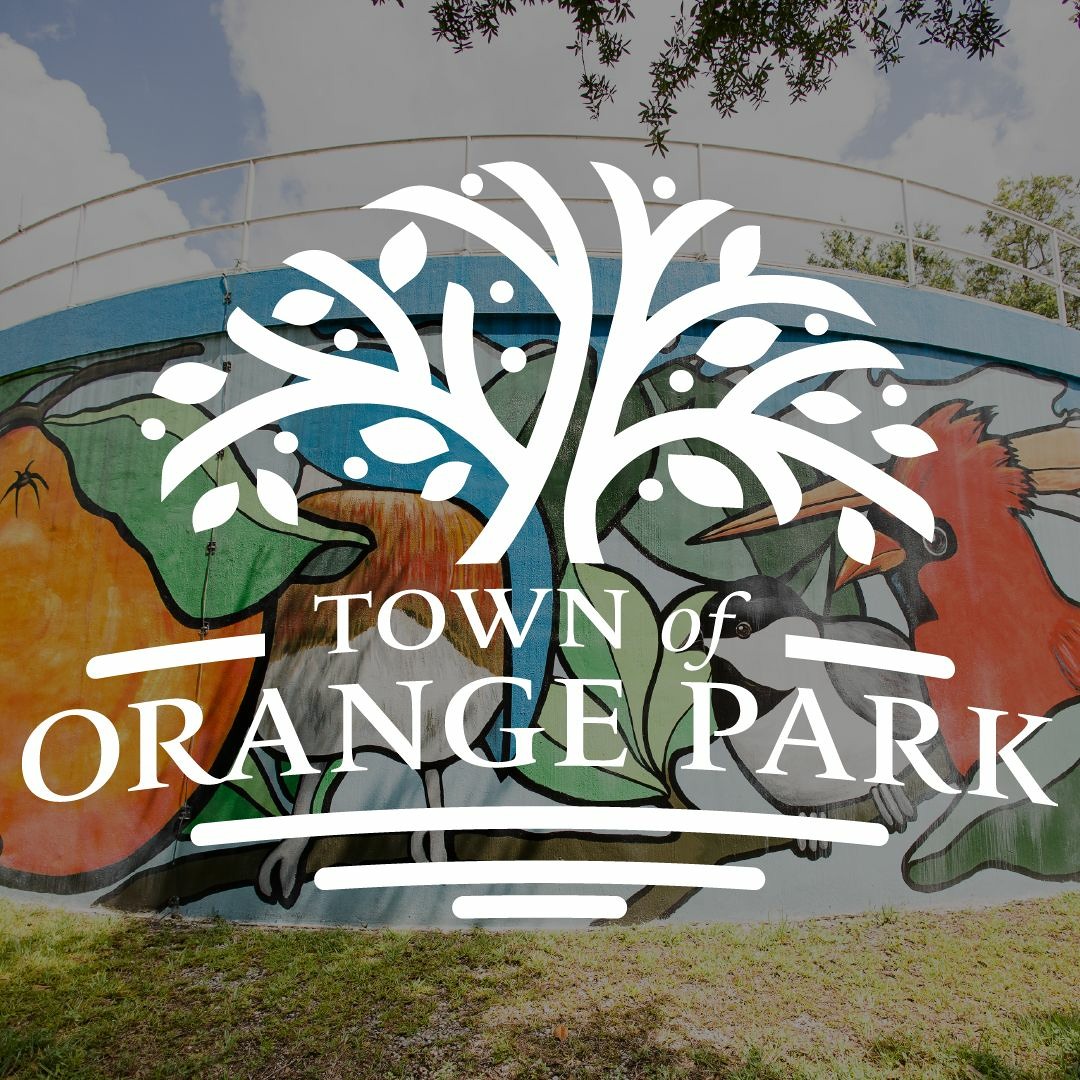 stream-01-27-2025-planning-and-zoning-board-special-meeting-by-town-of