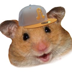 hammyt