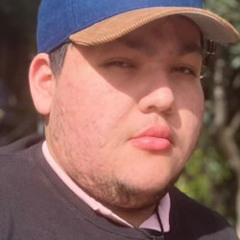 lilfag