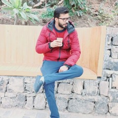 Shahzad Ismail