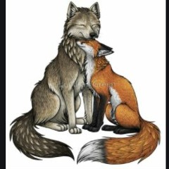 The Fox