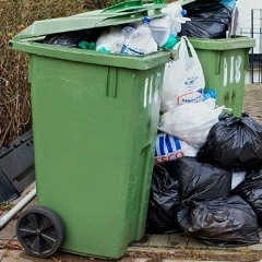 balde de lixo (@real.hellyhard)