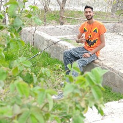 abolfaslmv