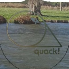 quack!