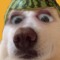 Fenixz