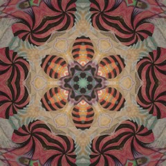 Jared Cloughen