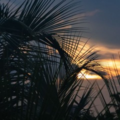 TES
