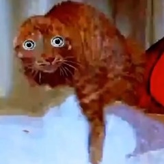LilahMcLilac