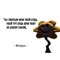 wewpidr