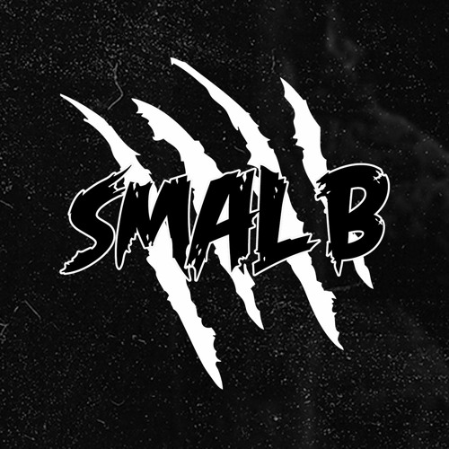 SMAL B’s avatar