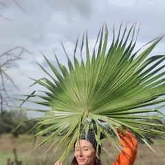 Panakota